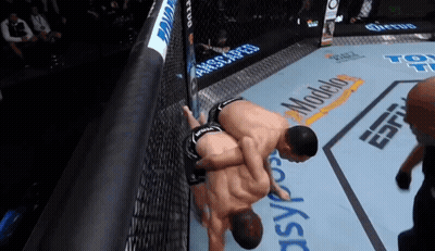 Two Men Wrestling In Ring With Modelo Sign GIF