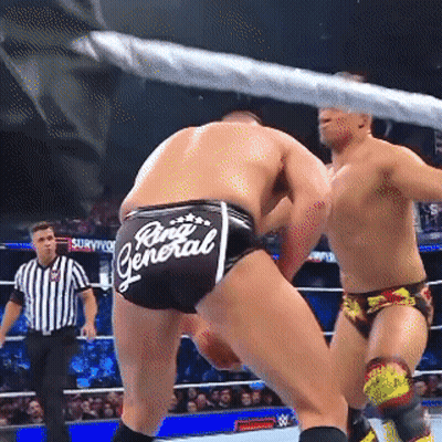 Two Men Wrestling In Ring With Rina General Shorts GIF