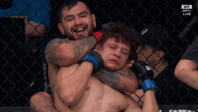 Two Men Wrestling In UFC Cage GIF