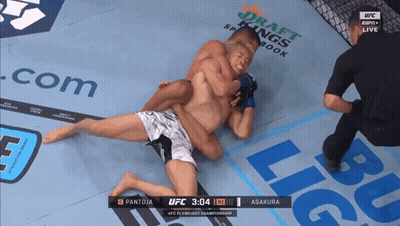 Two Men Wrestling In UFC Ring GIF