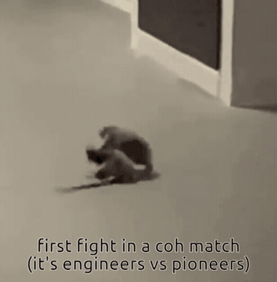 Two Mice Are Standing Next To Each Other With The Caption First Fight In A Coh Match It 'S Engineers Vs Pioneers GIF