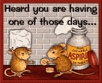 Two Mice Next To Aspirin Saying Heard You Are Having One Of Those Days GIF