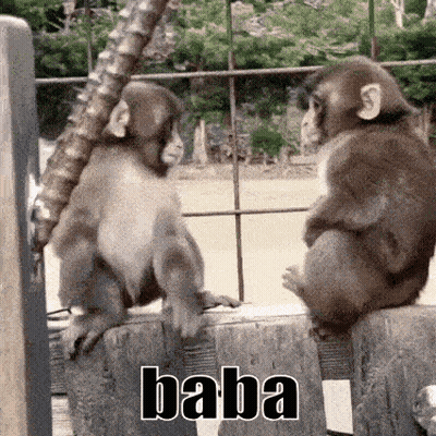 Two Monkeys Are Sitting Next To Each Other And The Word Baba Is On The Bottom Of The Picture GIF