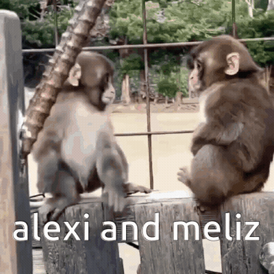 Two Monkeys Are Sitting On A Wooden Fence With The Words Alexi And Meliz Below Them . GIF