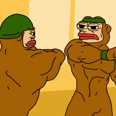 Two Monkeys Fighting One Wearing Green Helmet GIF