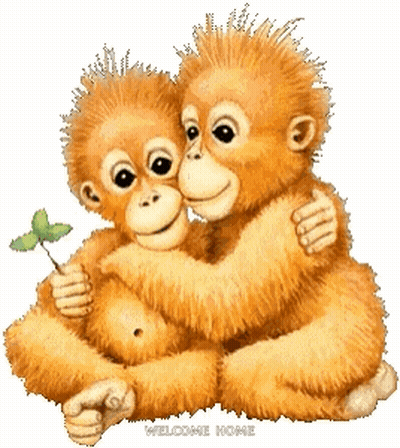 Two Monkeys Hugging Welcome Home GIF
