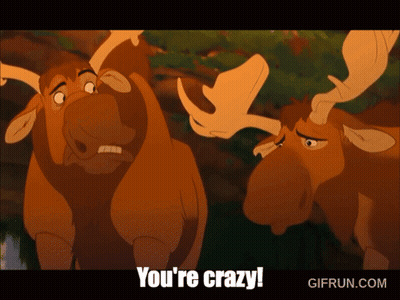 Two Moose Are Standing Next To Each Other With The Words You 'Re Crazy On The Bottom GIF