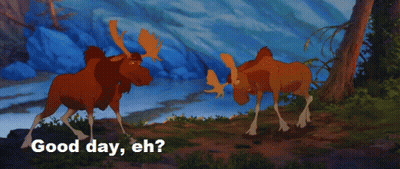Two Moose Saying How's It Going Eh GIF