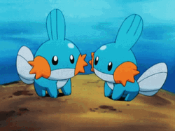 Two Mudkip Talking Each Other GIF