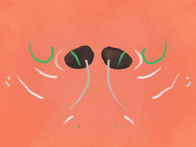 Two Mushrooms With Green Stems GIF