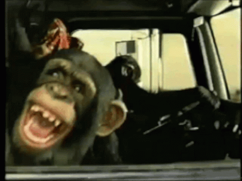 Two Nickelodeon Cartoon Characters Oh Yeah GIF