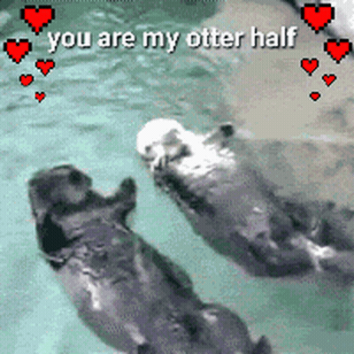 Two Otters In Water Saying You Are My Otter Half GIF