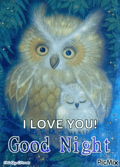 Two Owls Saying I Love You Good Night GIF