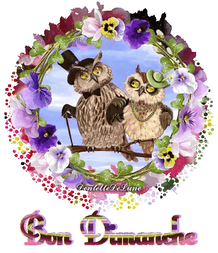 Two Owls Sitting On Branch Sticker