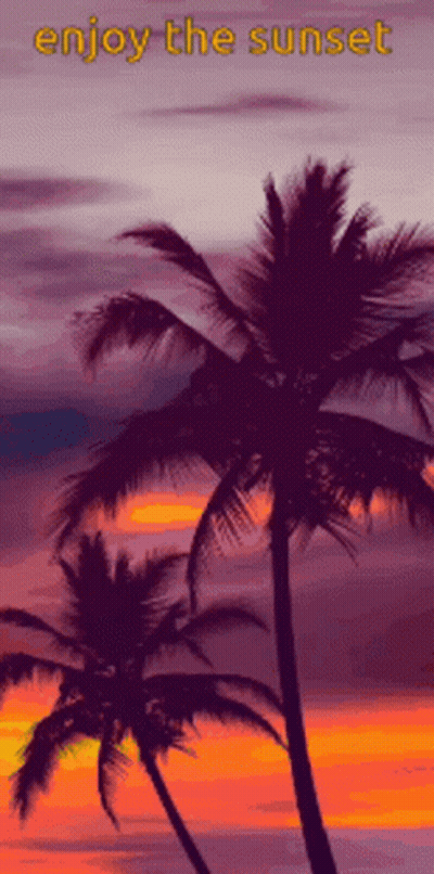 Two Palm Trees Silhouetted Against Sunset Saying Enjoy The Sunset GIF