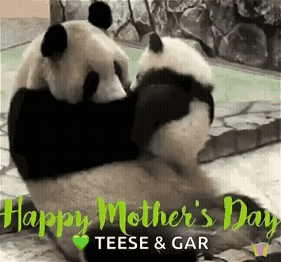 Two Pandas Hugging On Mother's Day GIF