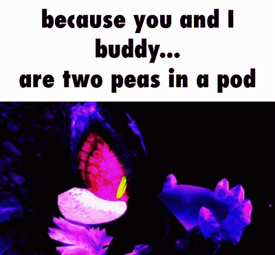 Two Peas In A Pod Buddy GIF