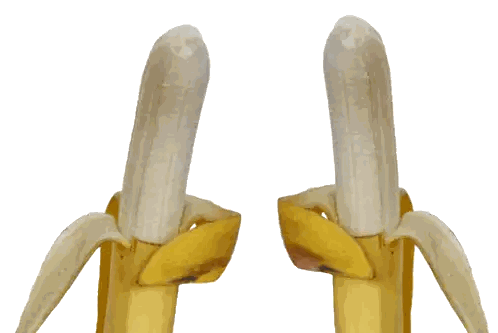 Two Peeled Bananas Saying Hey Sticker