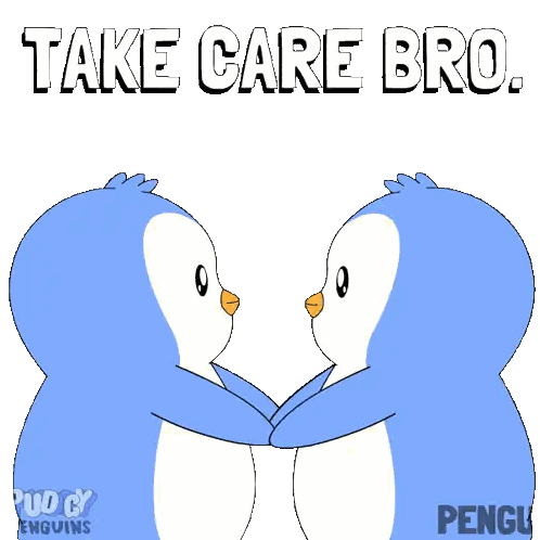 Two Penguins Are Hugging Each Other And The Words Take Care Bro Are Above Them Sticker