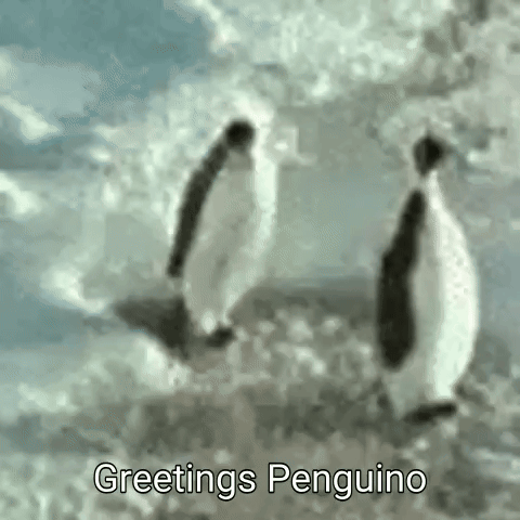 Two Penguins Are Standing In The Snow And The Words Greetings Penguino Are Visible GIF