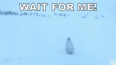 Two Penguins Are Standing In The Snow With The Words Wait For Me GIF