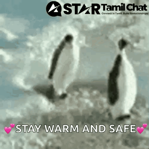 Two Penguins Are Walking In The Snow With The Words " Stay Warm And Safe " Below Them GIF