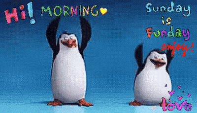 Two Penguins Hi Morning Sunday Is Funday Enjoy GIF