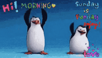 Two Penguins Hi Morning Sunday Is Sunday Enjoy GIF