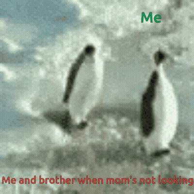 Two Penguins Me And Brother When Mom's Not Looking GIF