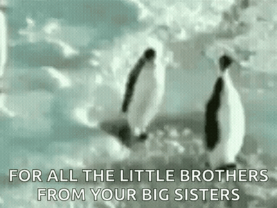 Two Penguins On Snowy Hill GIF