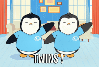 Two Penguins Saying Twins GIF