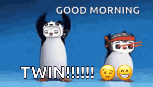 Two Penguins With Good Morning Twin GIF