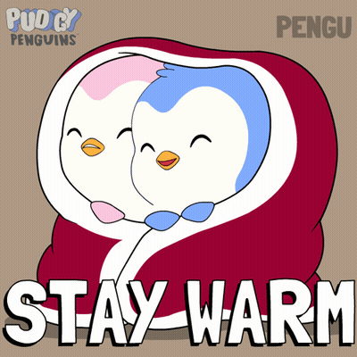 Two Penguins Wrapped In Blanket Stay Warm GIF