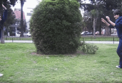 Two People Playing In Park GIF