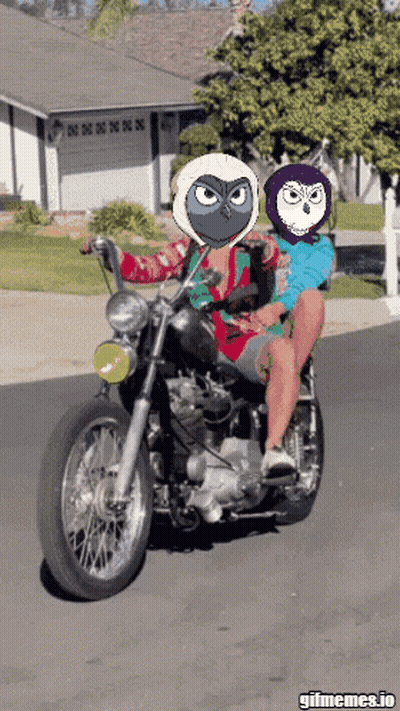 Two People Riding Motorcycle With Owls On Faces GIF