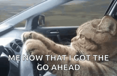 Two People Standing In Dark Room Saying Go Ahead GIF