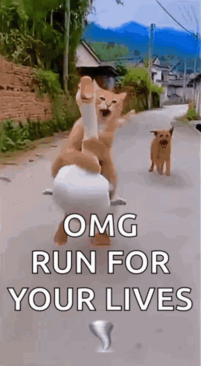 Two People Standing Saying Hi Hello GIF
