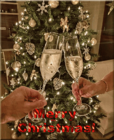 Two People Toasting Champagne In Front Of Christmas Tree Saying Merry Christmas GIF
