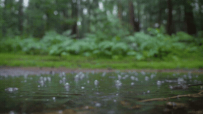 Two People Under Orange Umbrella With FFN GIF