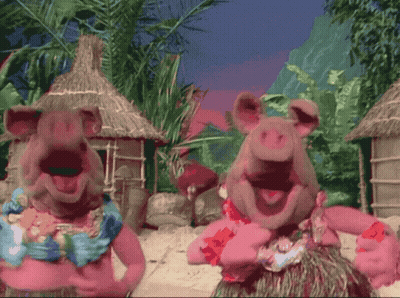 Two Pigs In Hawaiian Outfits Are Dancing On The Beach GIF
