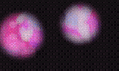 Two Pink And Purple Balls Floating In Dark GIF