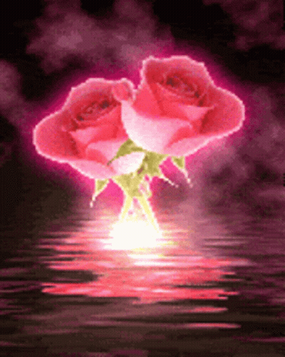 Two Pink Roses Reflected In Water GIF
