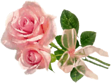Two Pink Roses With Green Leaves And Pink Bow Sticker