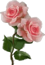 Two Pink Roses With Green Leaves And Sparkles Sticker