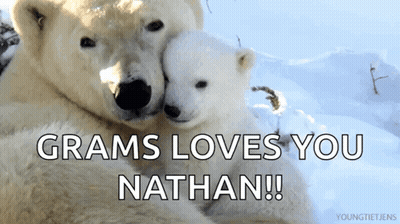 Two Polar Bears Hugging Each Other With The Words " Grams Loves You Nathan " Below Them GIF