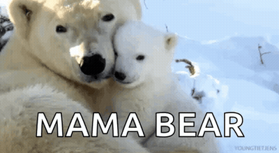 Two Polar Bears Hugging Each Other With The Words Mama Bear Written Below Them GIF