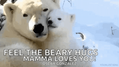 Two Polar Bears Hugging In Snow Feel The Beary Hugs Mamma Loves You GIF