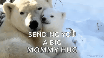 Two Polar Bears Hugging Saying Big Mommy Hug GIF