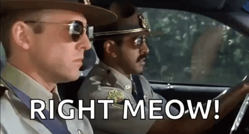 Two Police Officers Are Driving A Car And One Of Them Is Saying Right Meow ! GIF