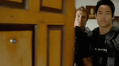 Two Police Officers Are Standing Next To Each Other In Front Of A Wooden Door . GIF